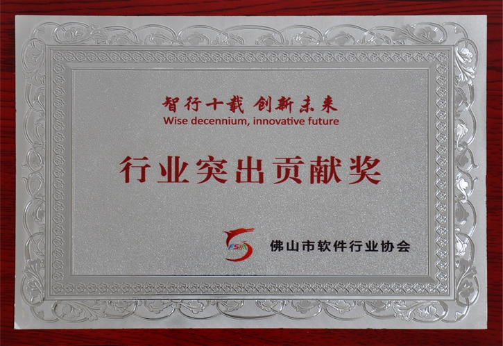 行业突出贡献奖